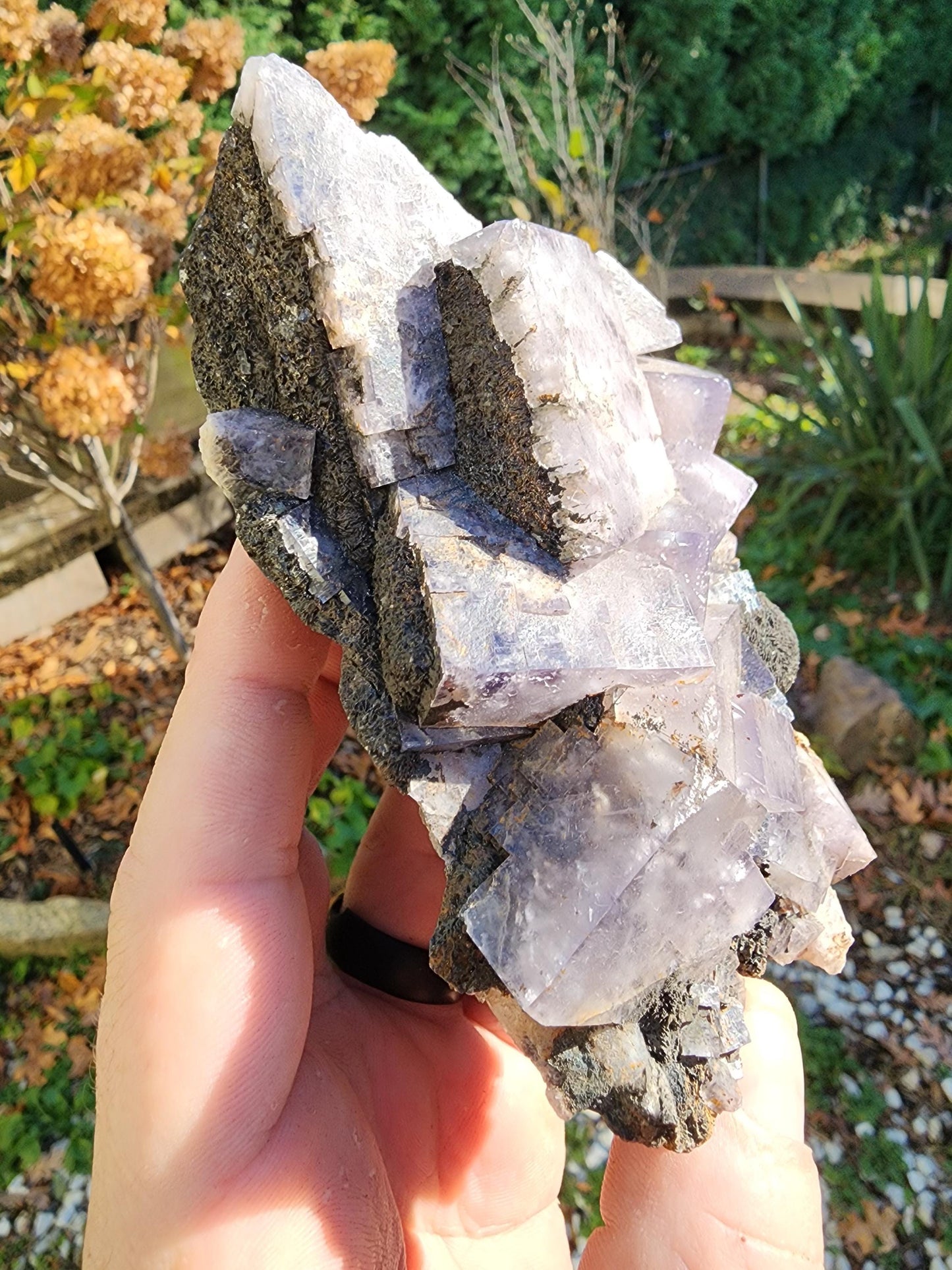 Weardale Fluorite Crystal from Durham County, England