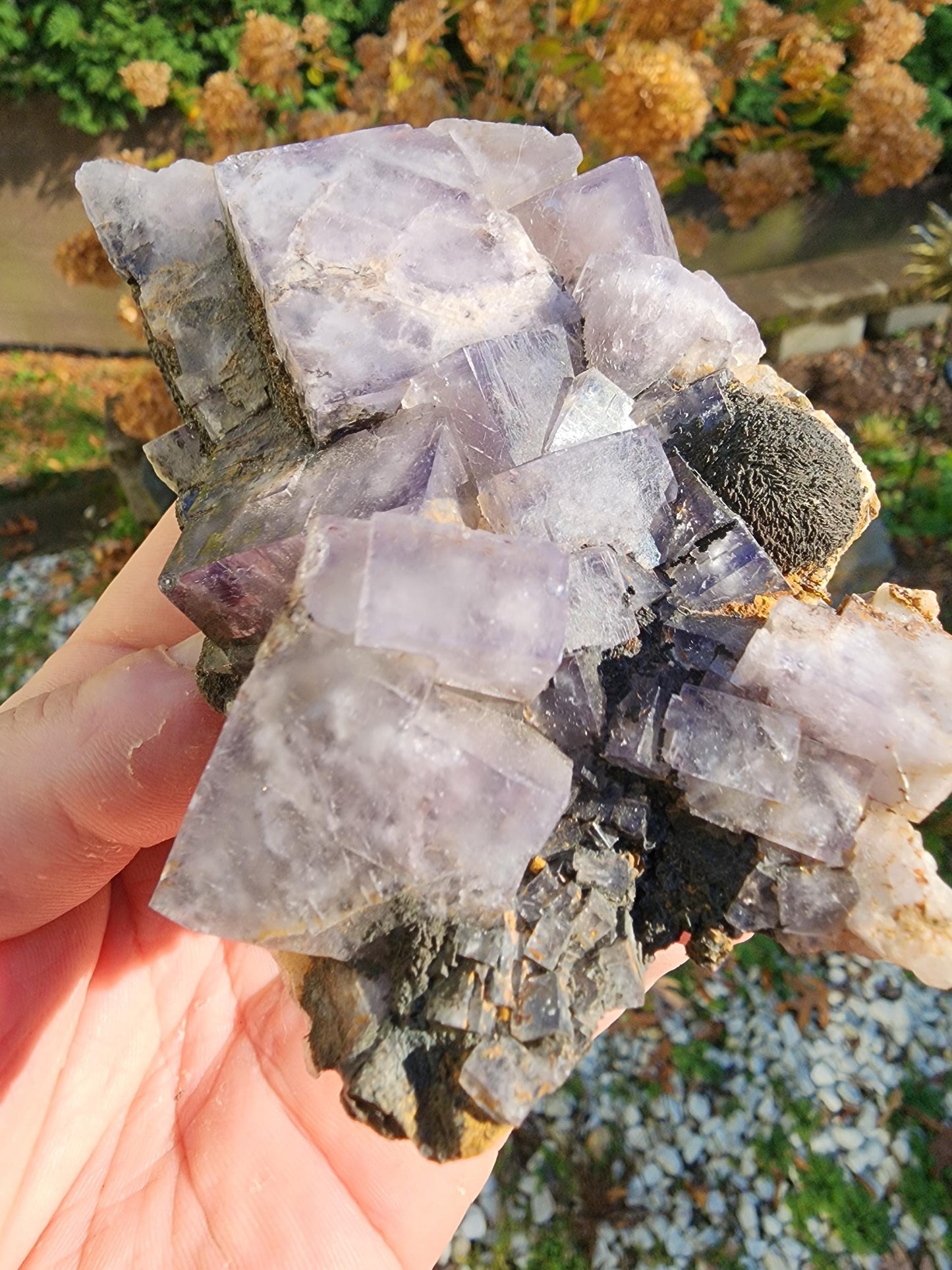 Weardale Fluorite Crystal from Durham County, England