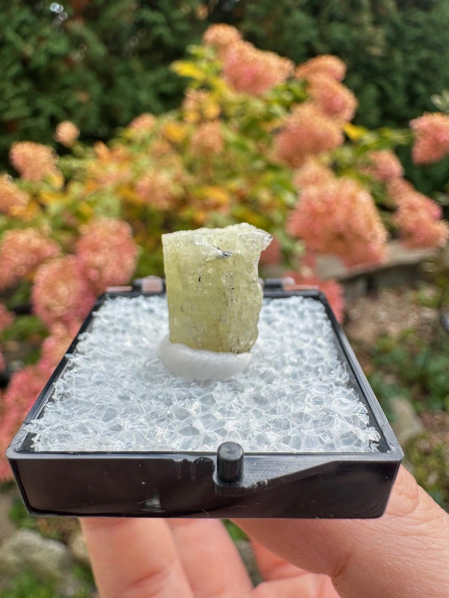 New England Heliodor Crystal from Connecticut