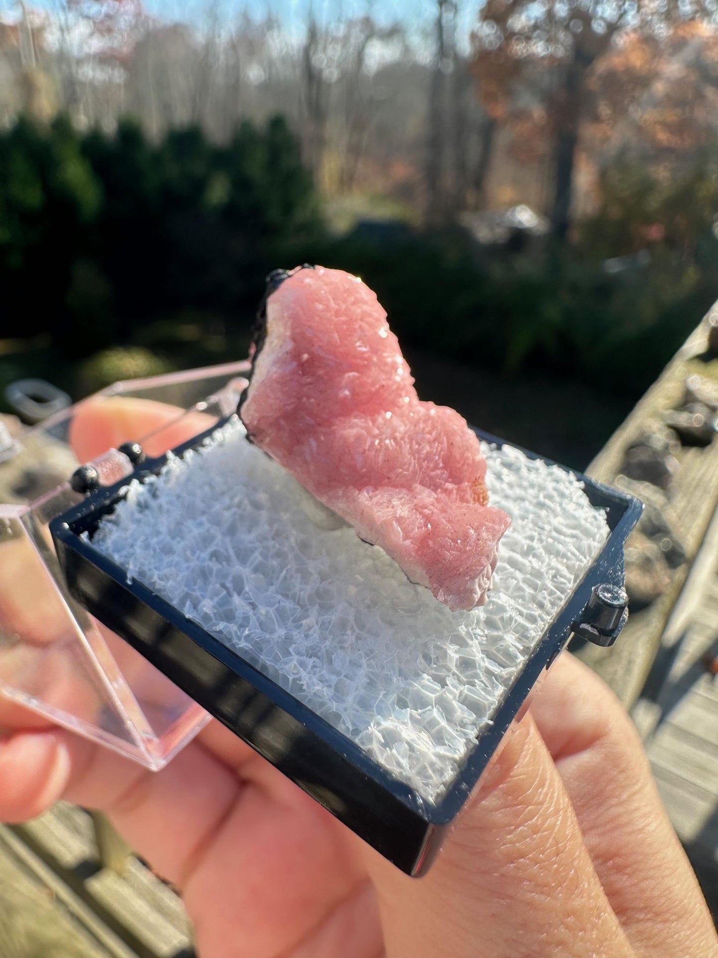 Botryoidal Rhodochrosite from Potosi Mine, Mexico