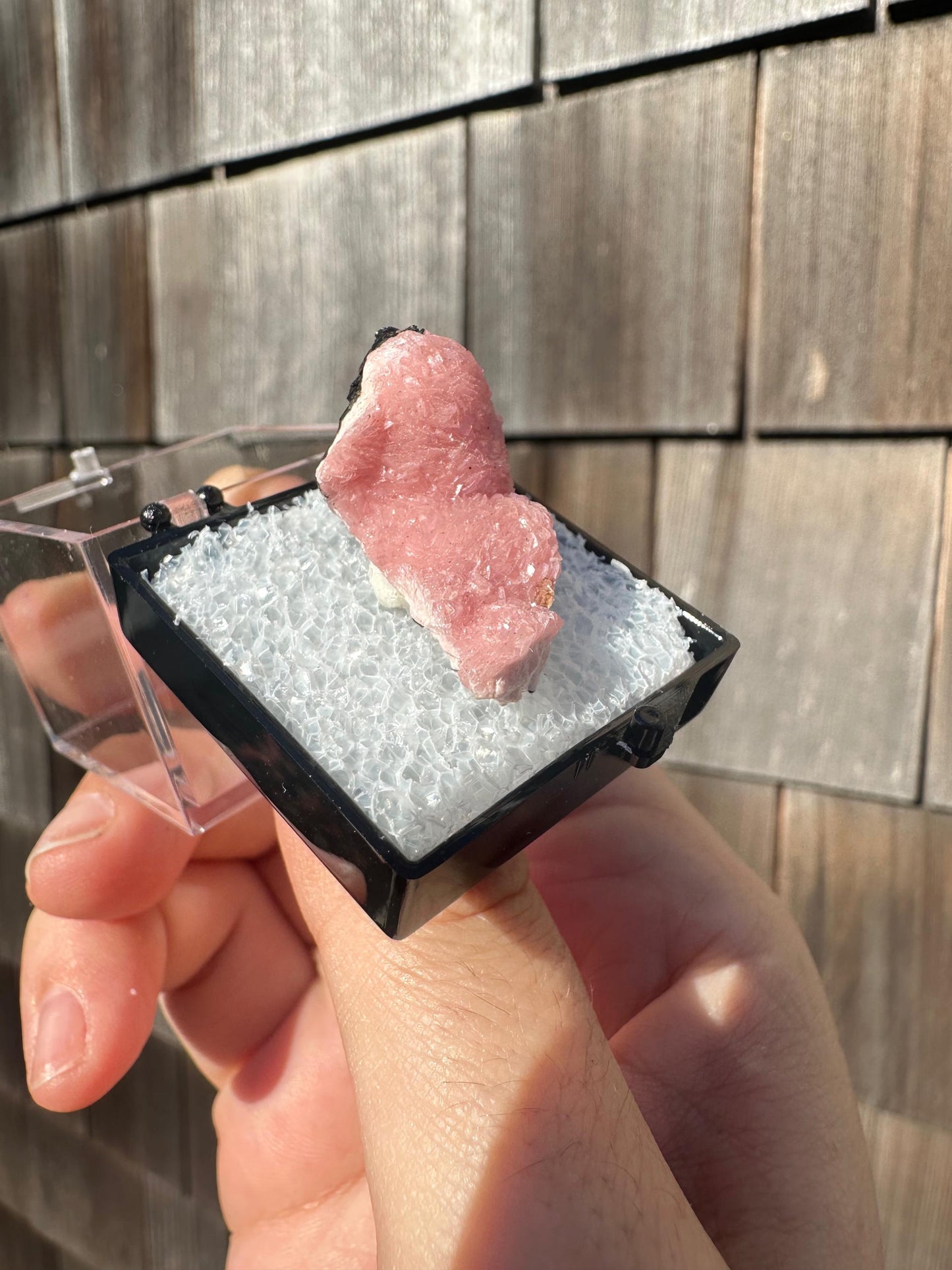 Botryoidal Rhodochrosite from Potosi Mine, Mexico