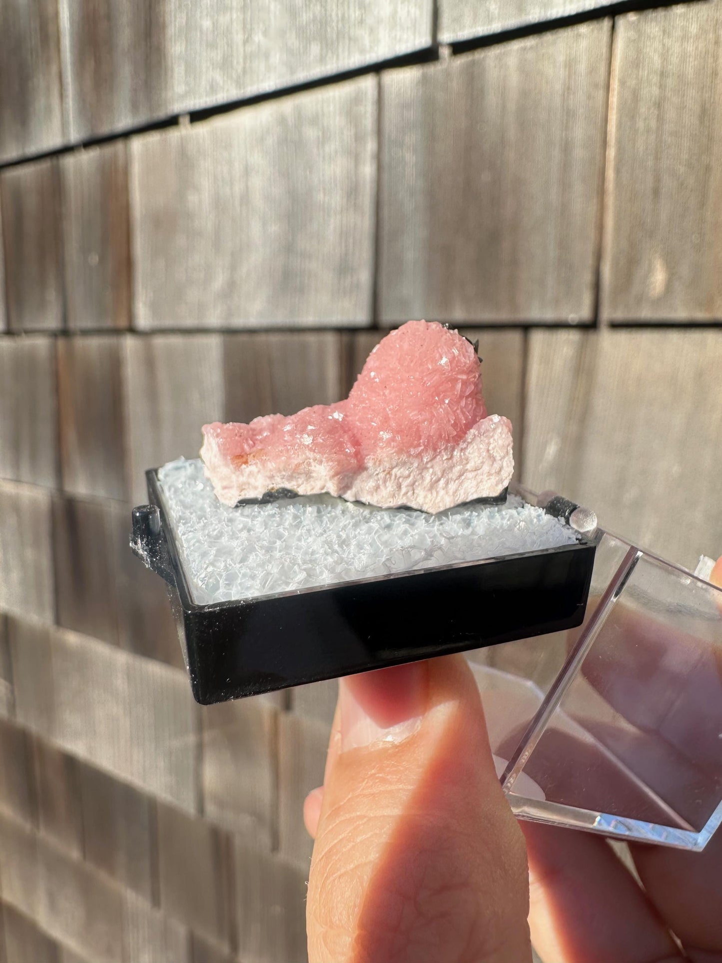 Botryoidal Rhodochrosite from Potosi Mine, Mexico