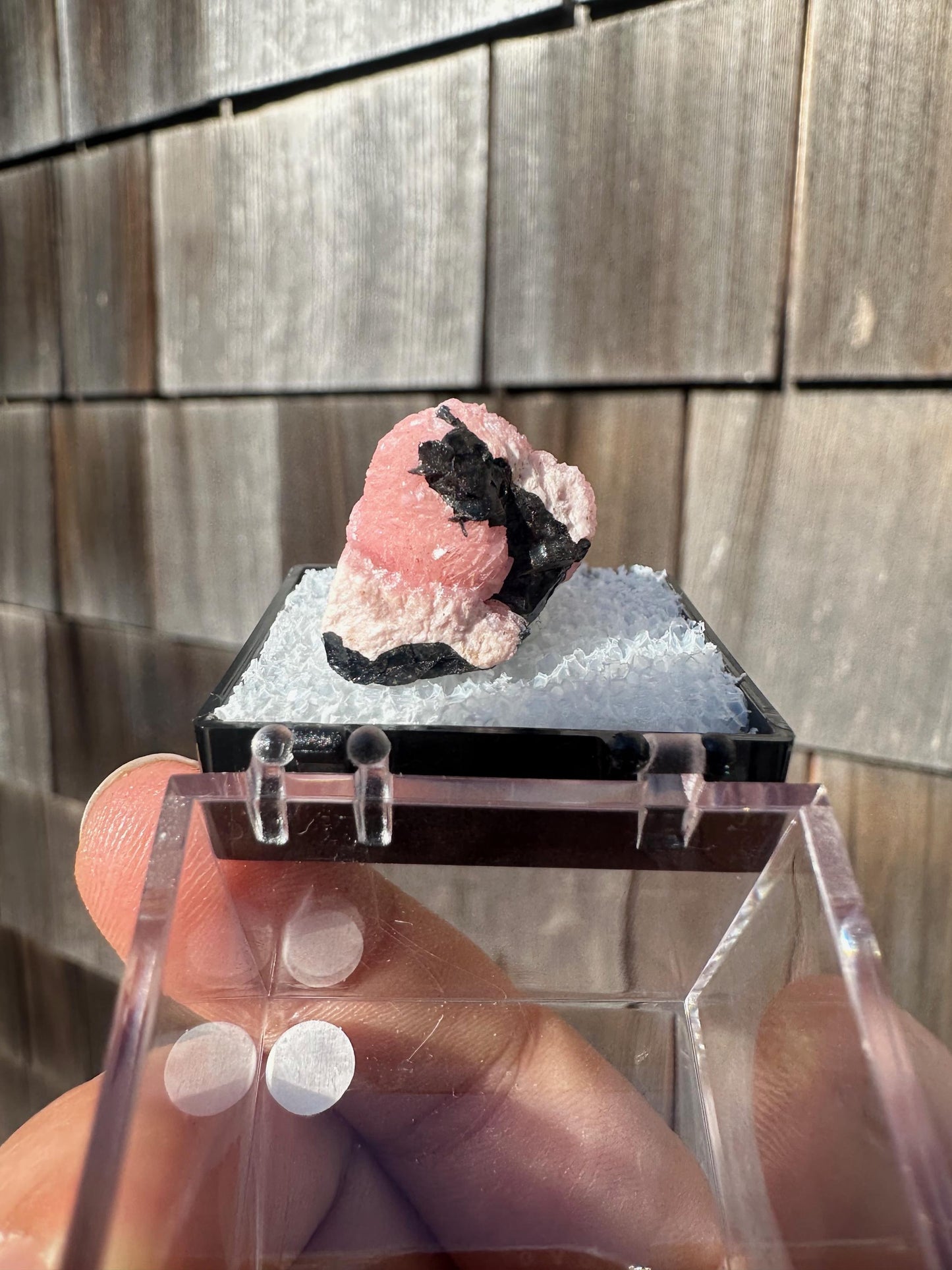 Botryoidal Rhodochrosite from Potosi Mine, Mexico