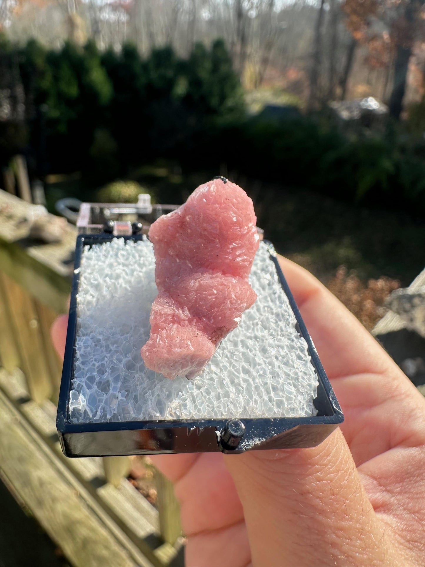 Botryoidal Rhodochrosite from Potosi Mine, Mexico