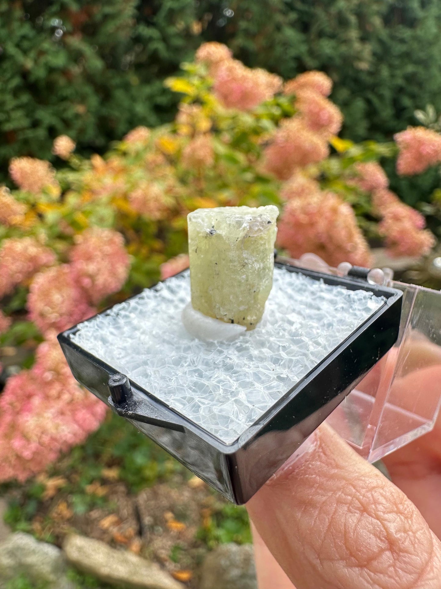 New England Heliodor Crystal from Connecticut