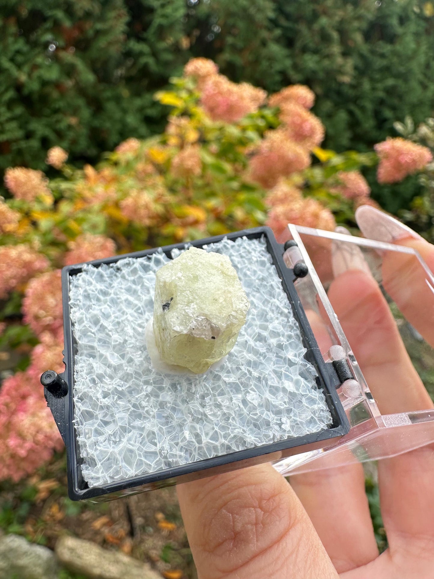 New England Heliodor Crystal from Connecticut