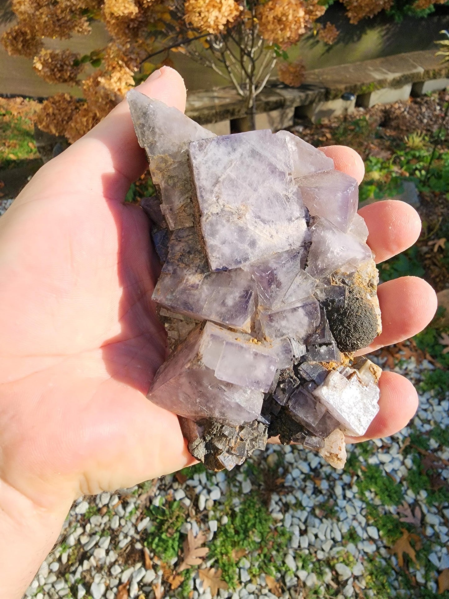 Weardale Fluorite Crystal from Durham County, England