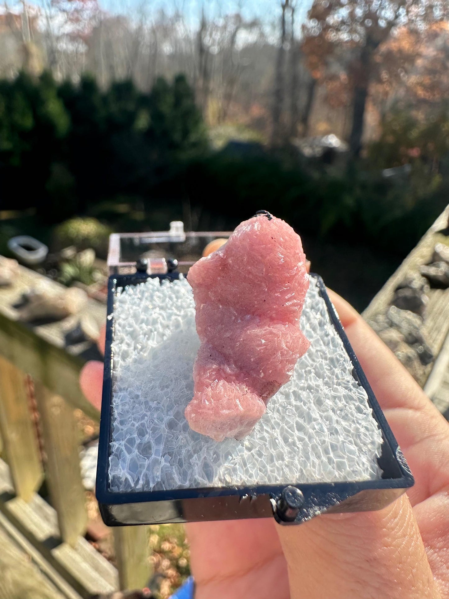 Botryoidal Rhodochrosite from Potosi Mine, Mexico