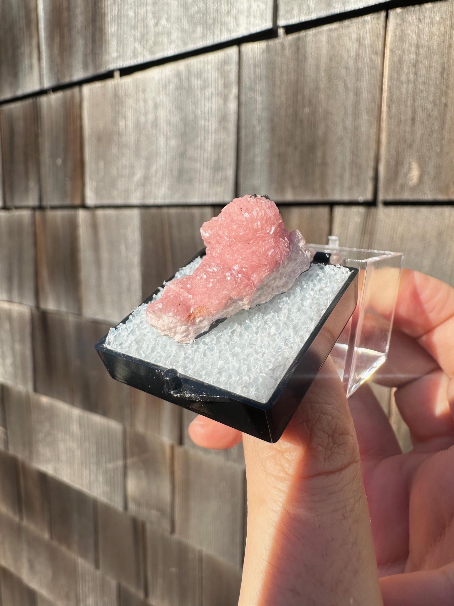 Botryoidal Rhodochrosite from Potosi Mine, Mexico