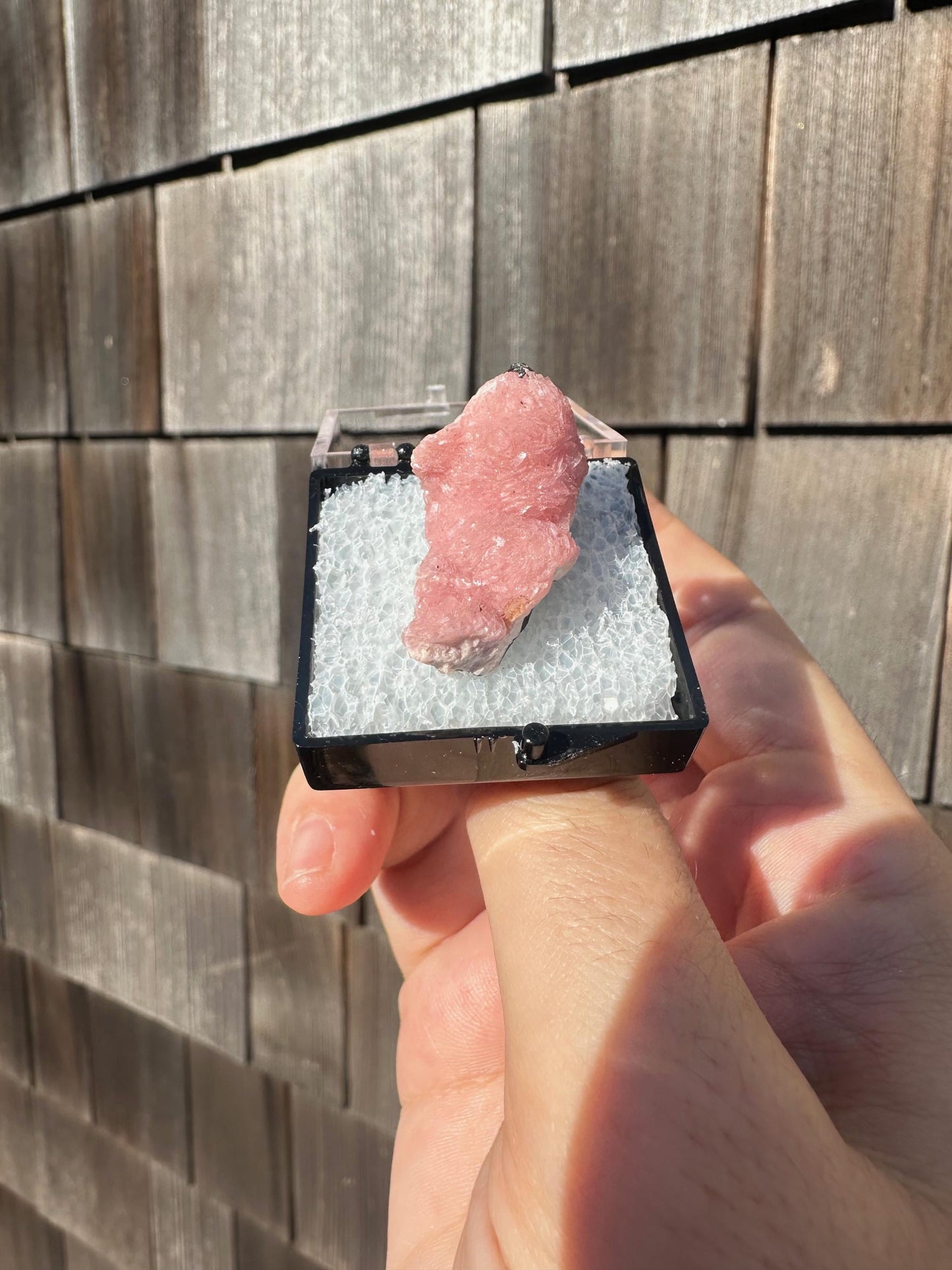 Botryoidal Rhodochrosite from Potosi Mine, Mexico