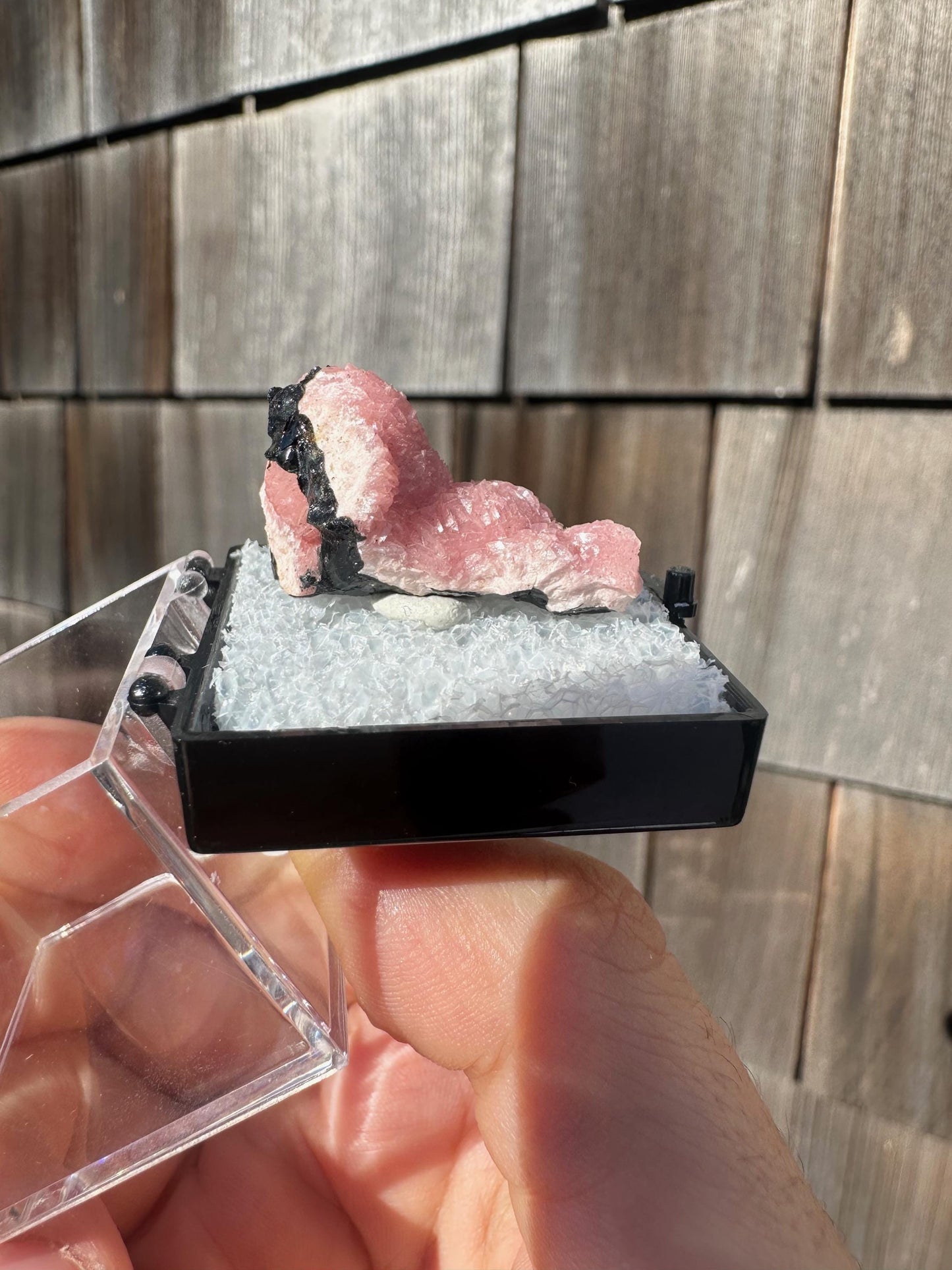 Botryoidal Rhodochrosite from Potosi Mine, Mexico