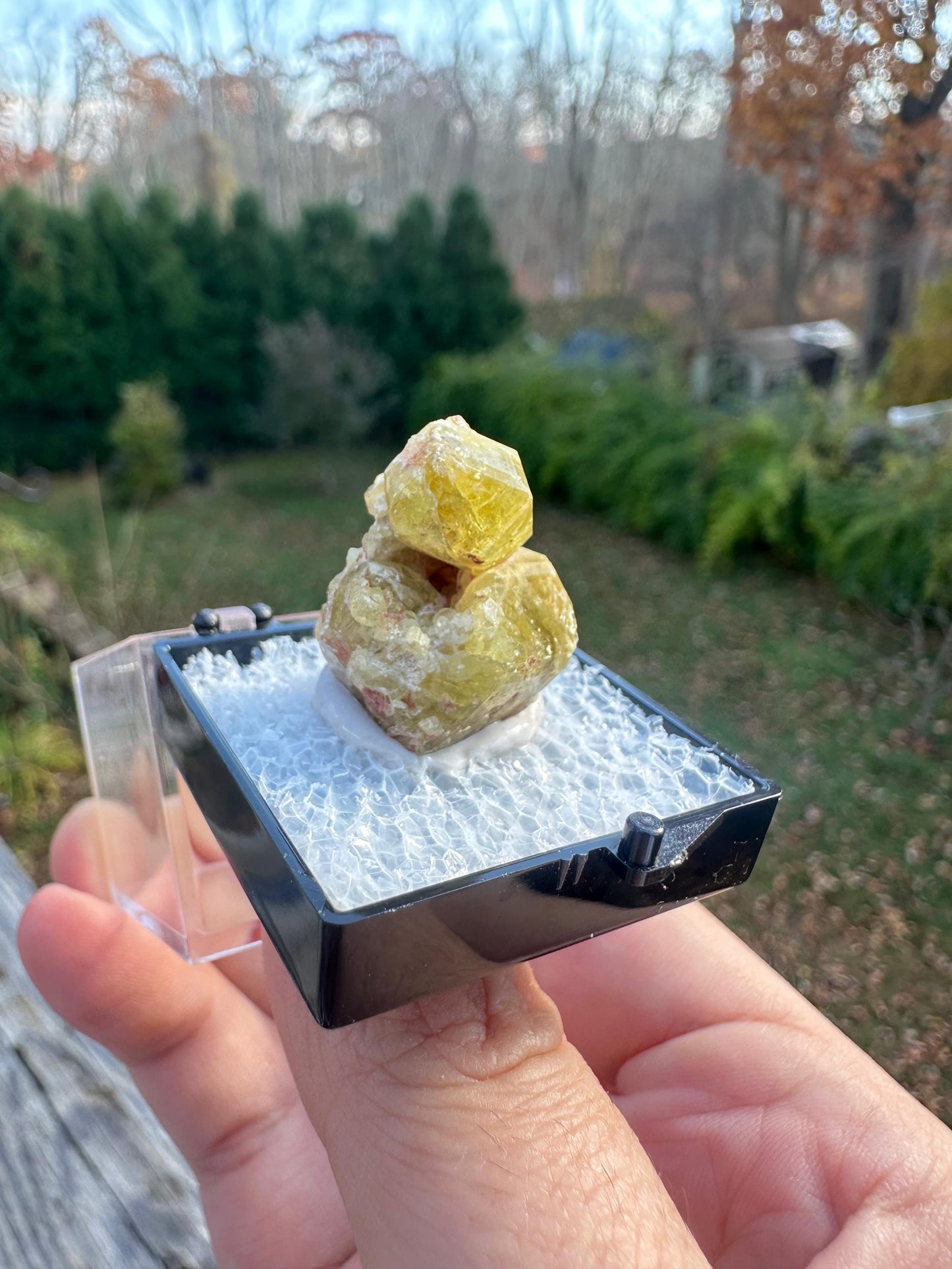 Yellow Topazolite Garnet From Mexico