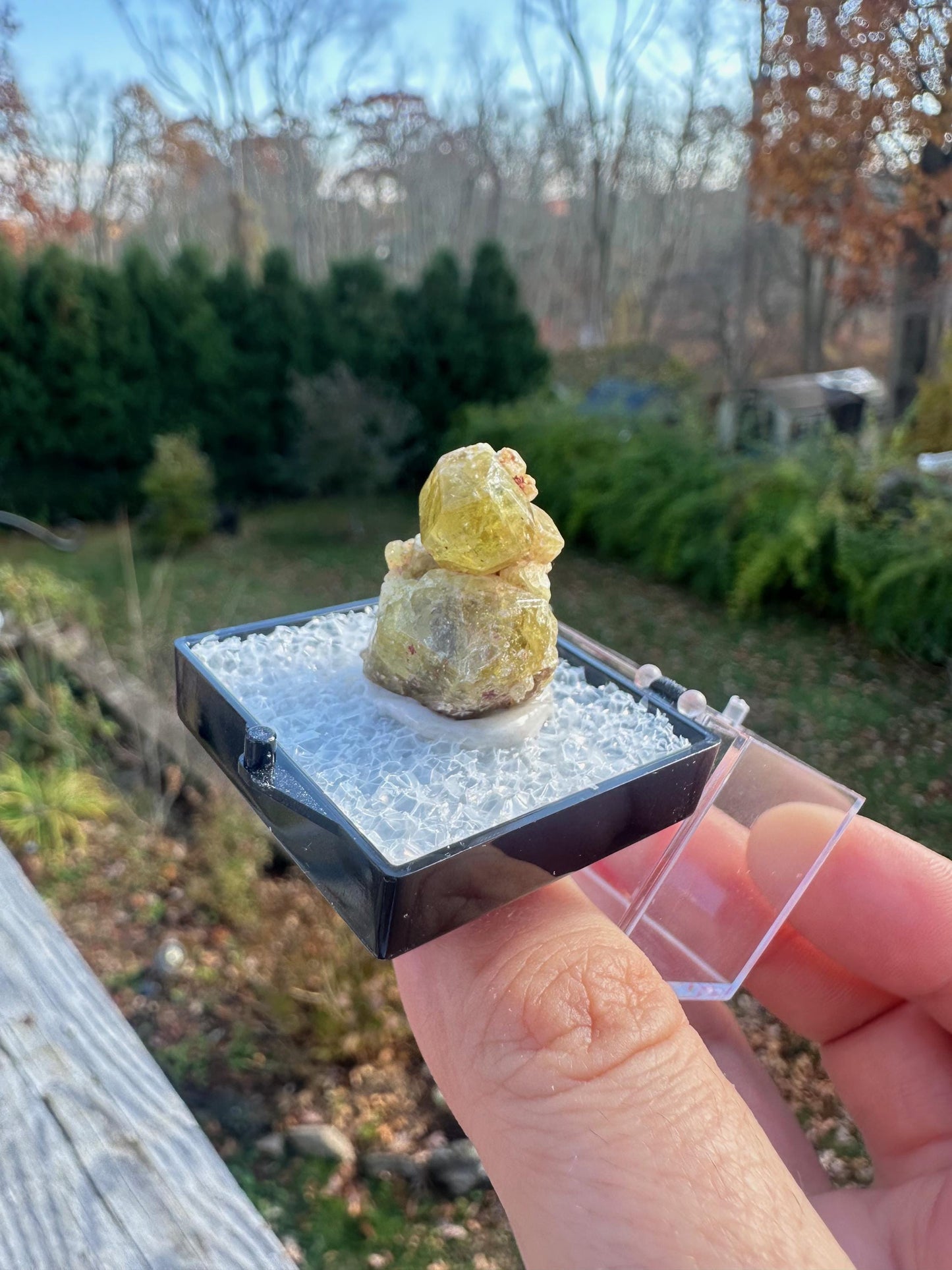 Yellow Topazolite Garnet From Mexico