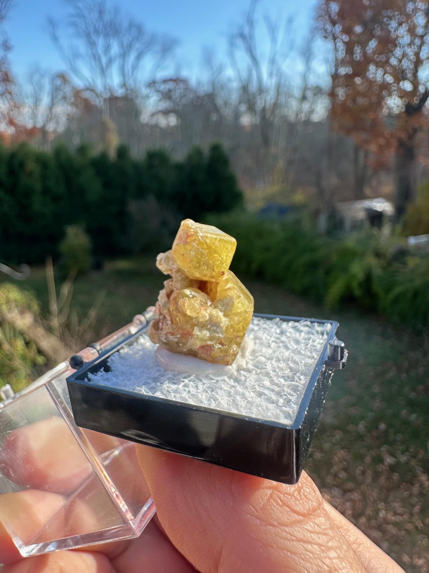 Yellow Topazolite Garnet From Mexico