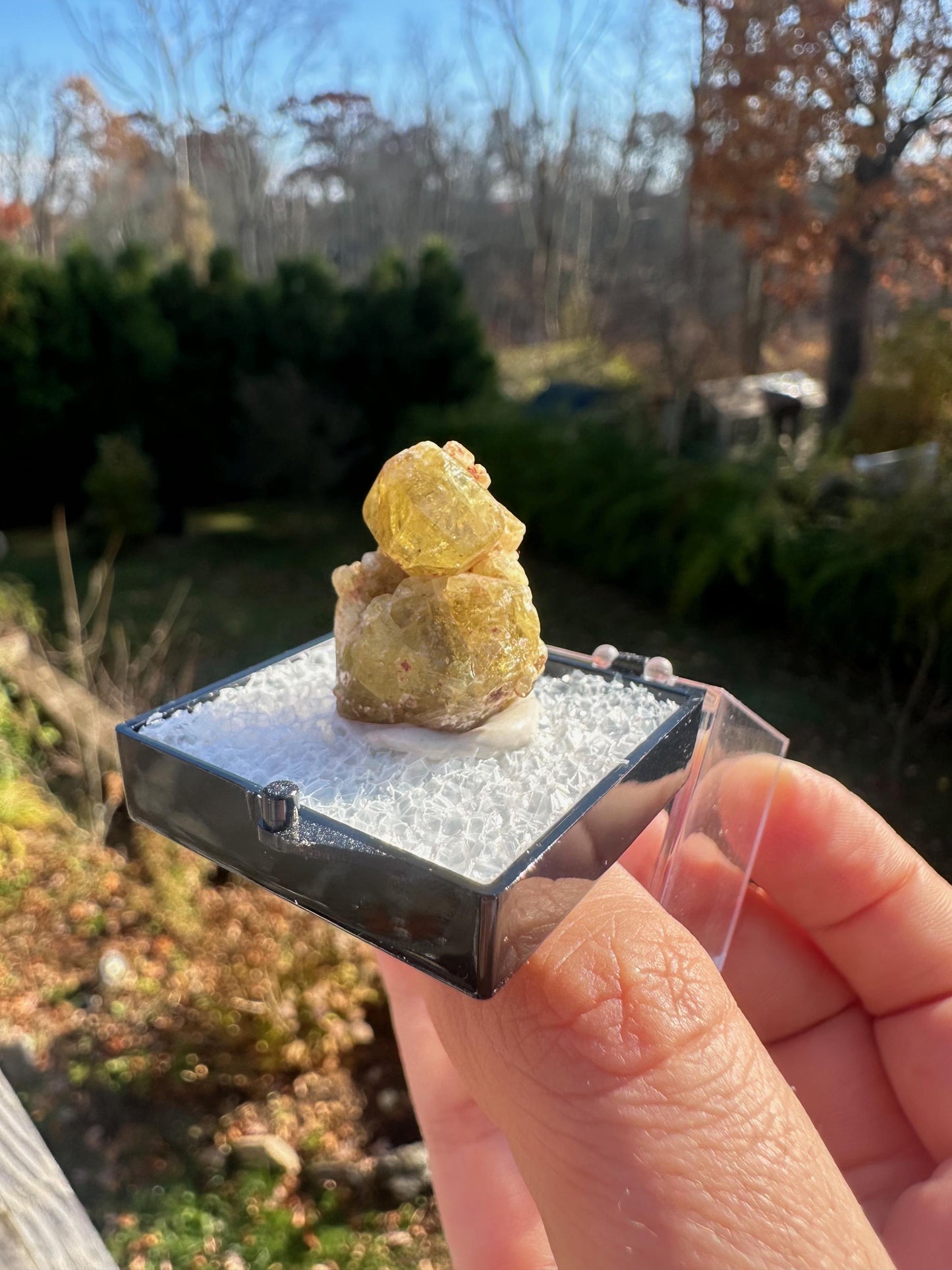 Yellow Topazolite Garnet From Mexico