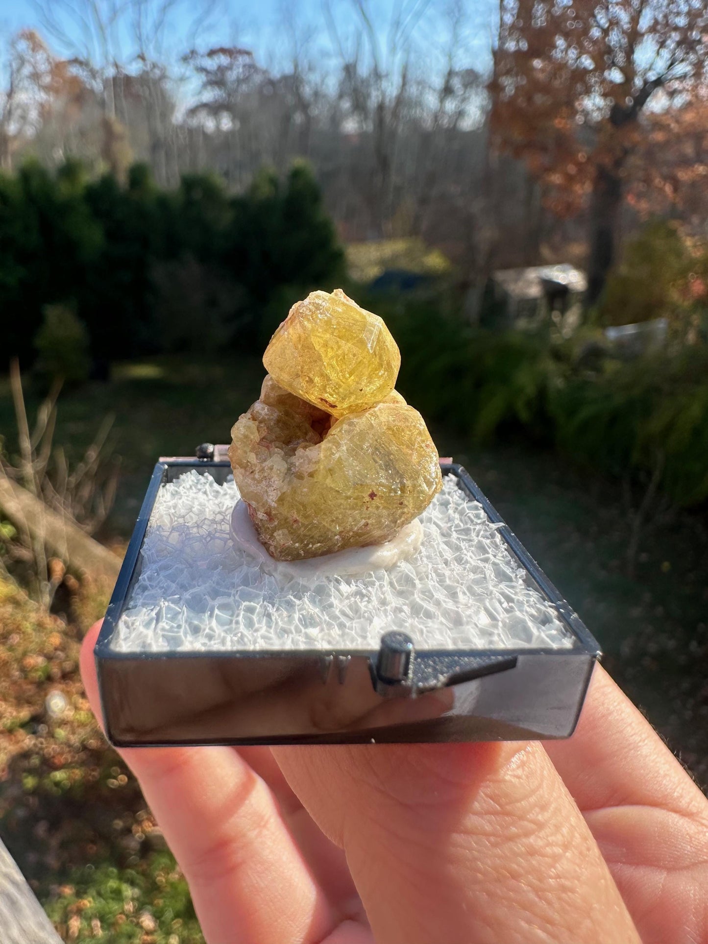 Yellow Topazolite Garnet From Mexico