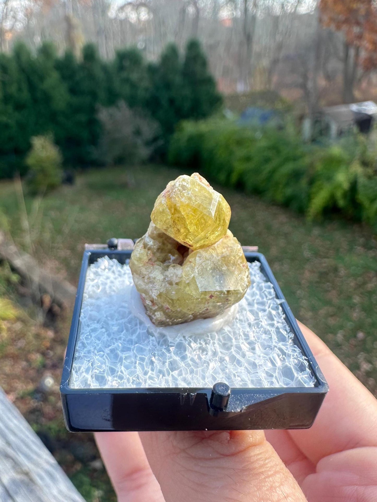 Yellow Topazolite Garnet From Mexico